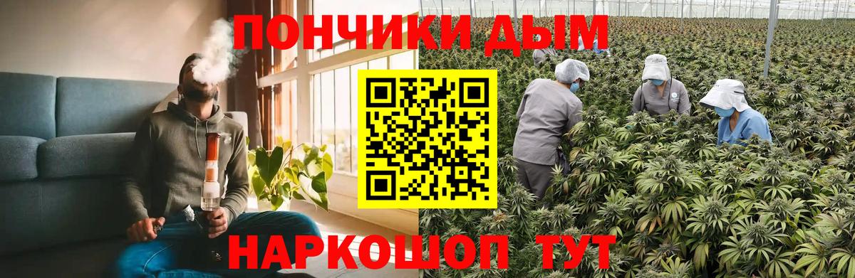 Бошки Шишки семена  МАРИХУАНА SATIVA & INDICA  Марихуана THC 21%  Вход с VPN  Тобольск  Канабис Ganja 